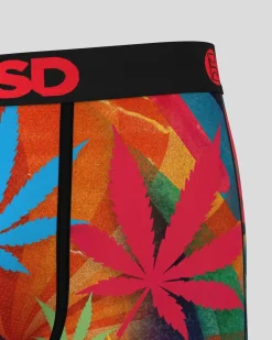 PSD Core Standard|Standard Length 7