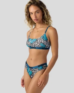 Women PSD Scoop Bralette|Mesh*Mesh - Primal Butterfly