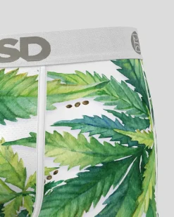 PSD Core Standard|Standard Length 7
